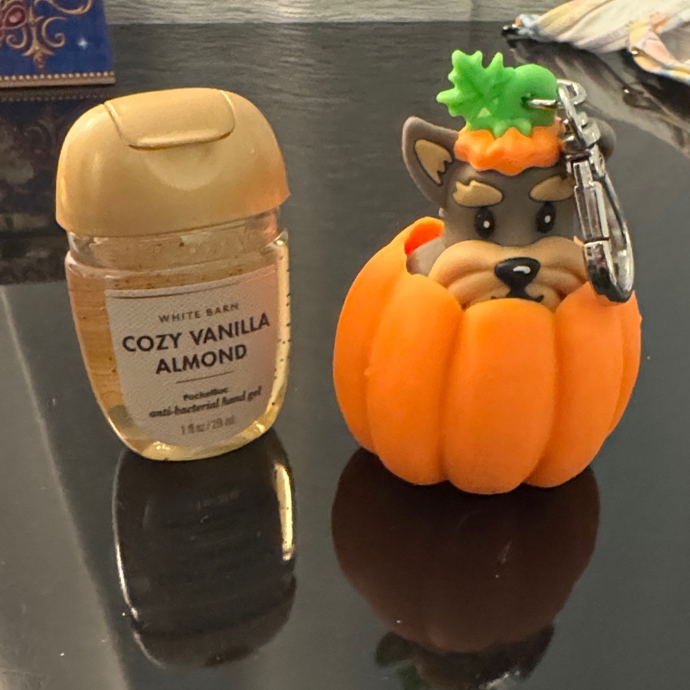 Pumpkin Pup Keychain - Orange Cute Dog in Pumpkin